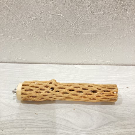 カクタスパーチ小② 直径約3~4cm 長さ20cm