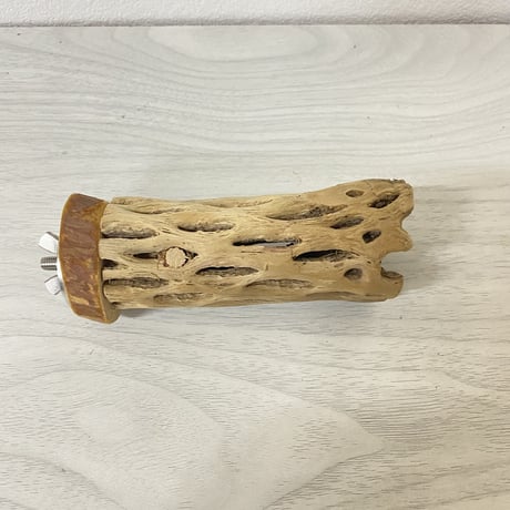 【I様専用】カクタスパーチ 小サイズ 直径（約2-3cm）長さ：9cm