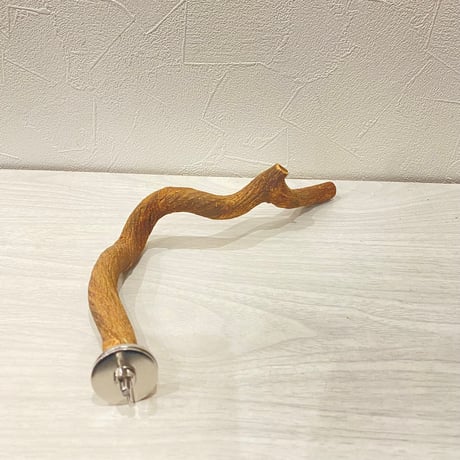 自然木（ツタ）パーチ②