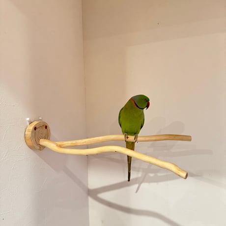 桧のピノキオの鼻 ③【インコ・小鳥のおもちゃ　自然木の止まり木】