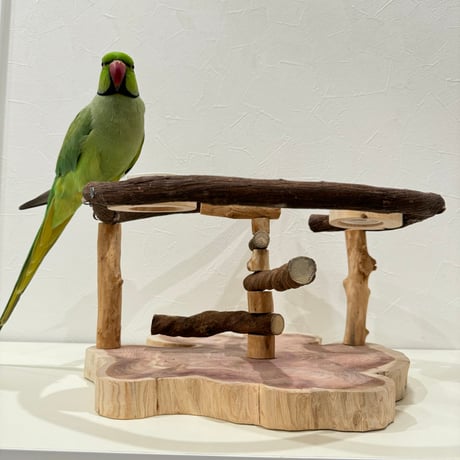 ツタのおやつ入れ付きスタンドパーチ【インコのおもちゃ・自然木のとまり木】