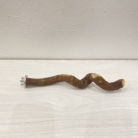 自然木（ツタ）のパーチ⑥