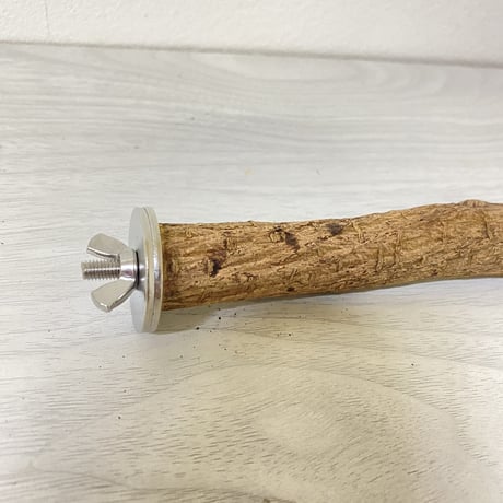 自然木（ツタ）のパーチ⑧　直径2cm 長さ17cm
