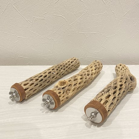【kanimiso様専用】カクタスパーチ 小20cm×3