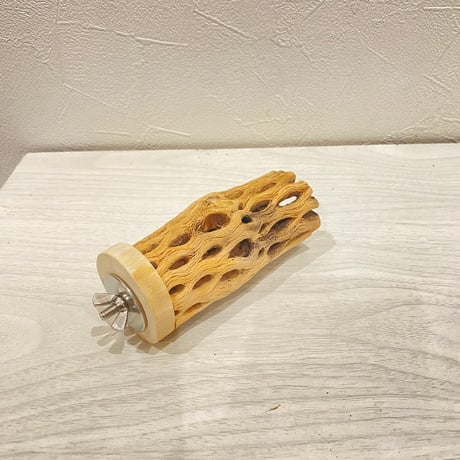 カクタスパーチ【11】直径4~5cm/長さ10cm