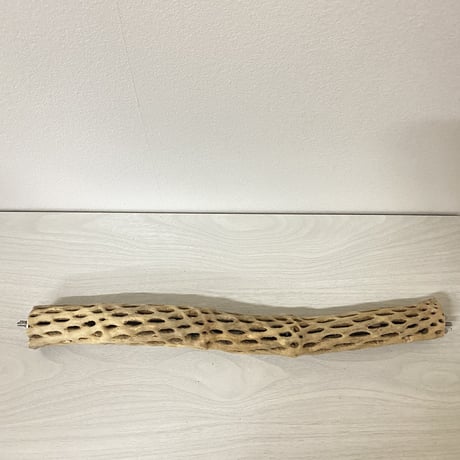ケージサイズカクタスパーチ 小サイズ直径3-4cm HOEI465 ③