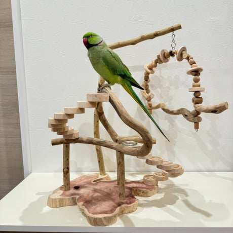 【bluebirdramune様専用】螺旋階段とブランコのアスレチック