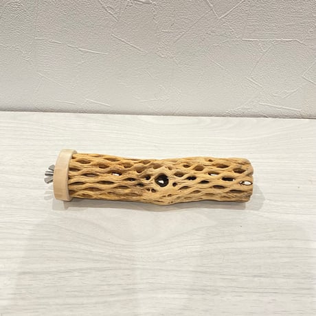カクタスパーチ小直径3~4cm 長さ15cm ③