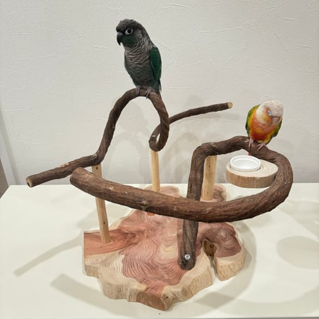 ツタのぐるっとバードアスレチック【インコのおもちゃ・自然木のとまり木】