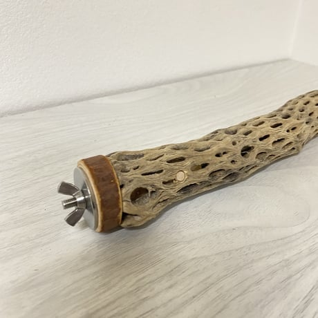 カクタスパーチ④ 極小サイズ 直径（約2-3cm）長さ/20.5cm