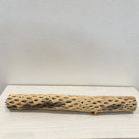 ケージサイズカクタスパーチ HOEI465 中（直径5.5cm）