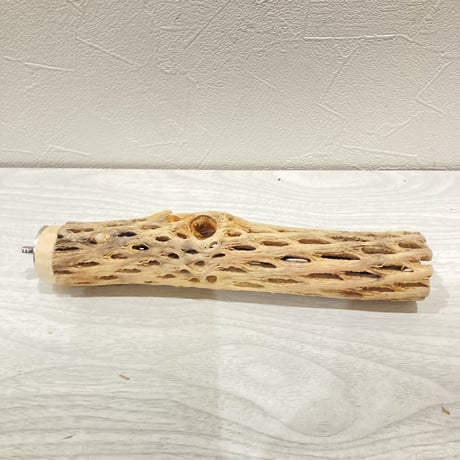 カクタスパーチ小⑦ 直径約3~4cm 長さ20cm