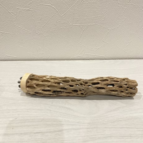 カクタスパーチ【4】極小 直径約2-3cm/19㎝
