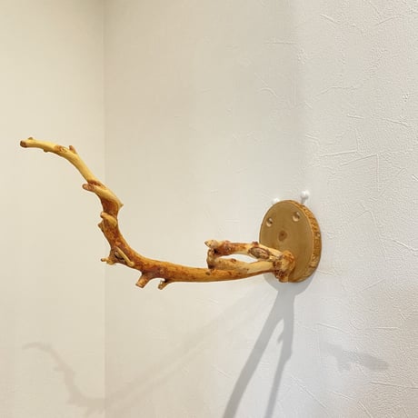 ピノキオの鼻 ②