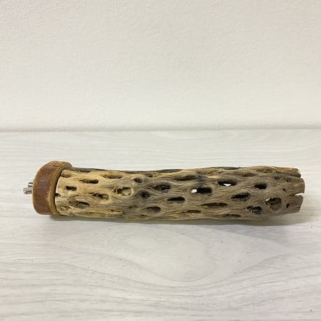 カクタスパーチ③ 小サイズ 直径（約3-4cm）長さ/15cm