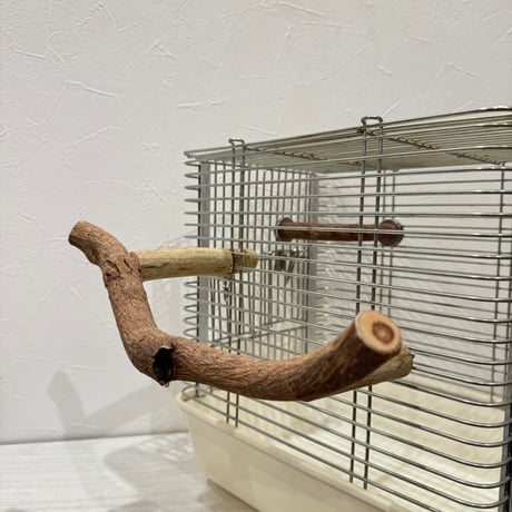 使い方いろいろ 屋上ツタパーチ【5】  横25cm 高さ8cm