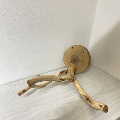 ピノキオの鼻 ③