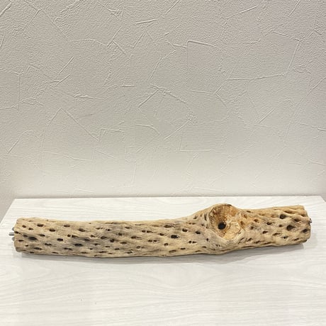 ケージサイズカクタスパーチ⑧  中サイズ（直径約5.5cm）HOEI465