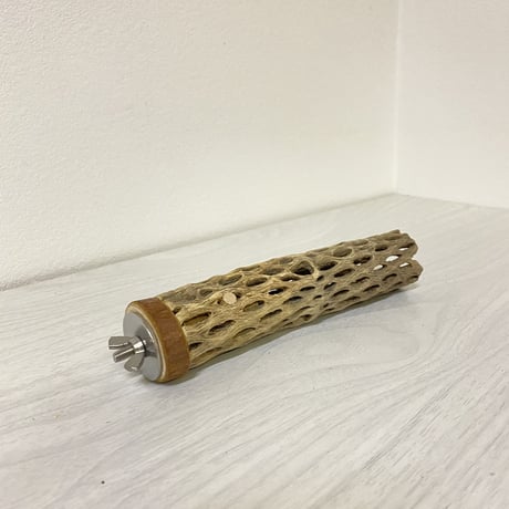 カクタスパーチ⑥ 小サイズ 直径（約3-4cm）長さ/16cm
