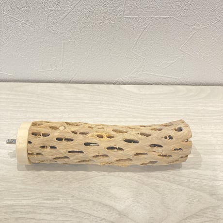カクタスパーチ⑦  小　直径4cm前後 長さ15cm