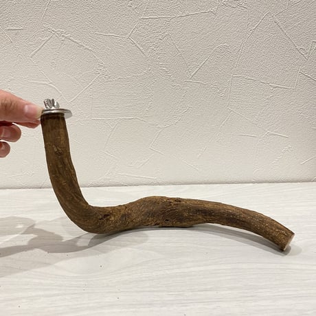自然木（ツタ）パーチ⑥ 直径2.5cm 長さ23cm
