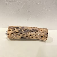 カクタスパーチ⑧ 直径約5~5.5cm/長さ17cm