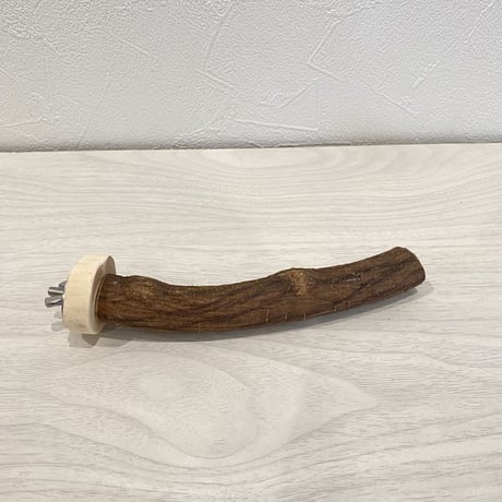 自然木（ツタ）パーチ⑦  直径2cm 長さ15cm