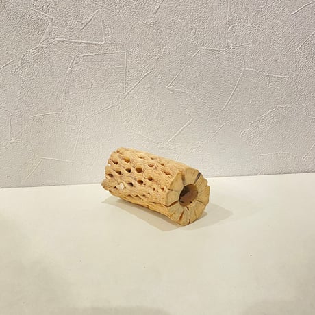 カクタスパーチ②  直径約5cm/長さ10cm