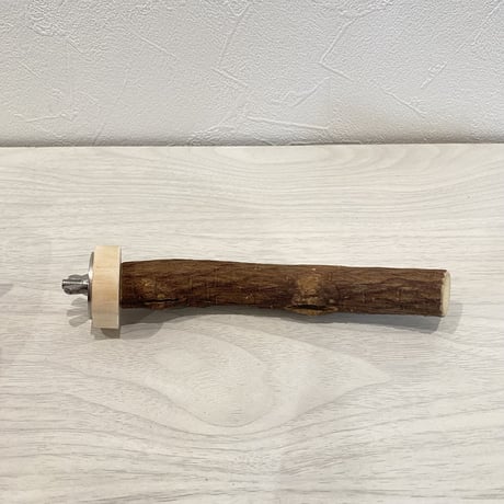 自然木（ツタ）パーチ⑦  直径2cm 長さ15cm