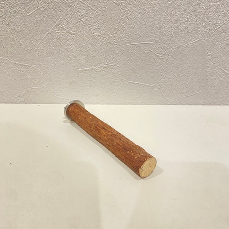自然木（ツタ）パーチ 直径約2cm/長さ13.5cm