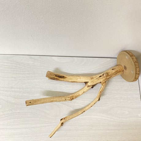 ピノキオの鼻⑤