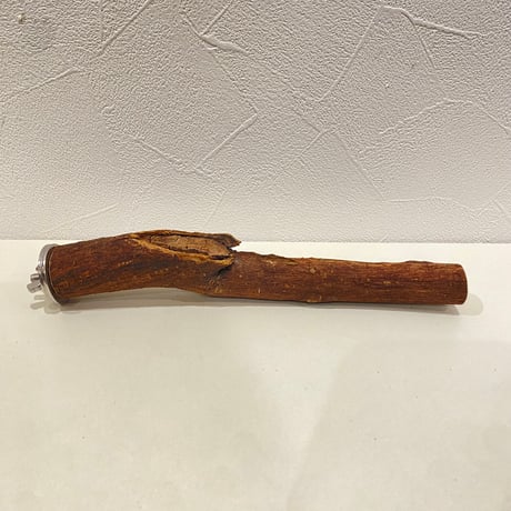 自然木（ツタ）パーチ 直径約2~2.8cm/長さ19cm