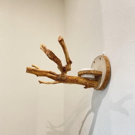 ピノキオの鼻