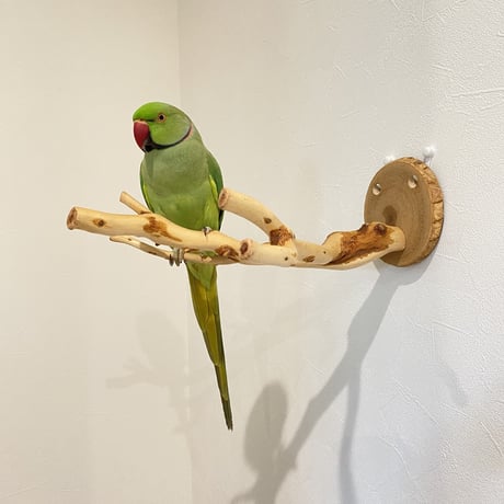 ピノキオの鼻 ④