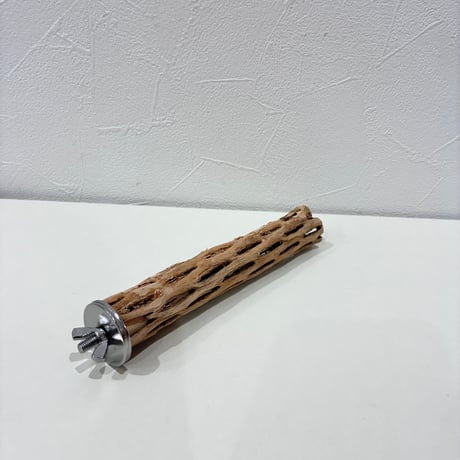 カクタスパーチ極小サイズ① 直径約2.3cm/長さ15cm【自然木 止まり木 バンブルフット 趾瘤症 】
