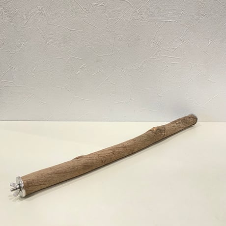 殿様パーチ⑥（自然木ツタ） HOEI465サイズ  直径約2.5cm