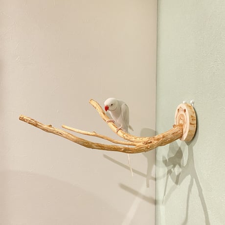 ピノキオの鼻 ①  中型から大型用