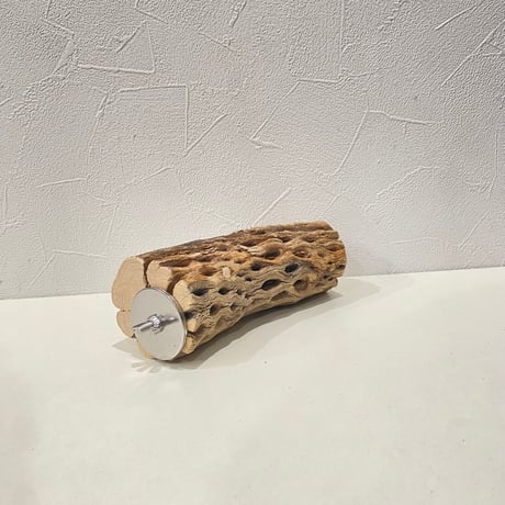 カクタスパーチ⑦  直径約5.5cm/長さ15cm