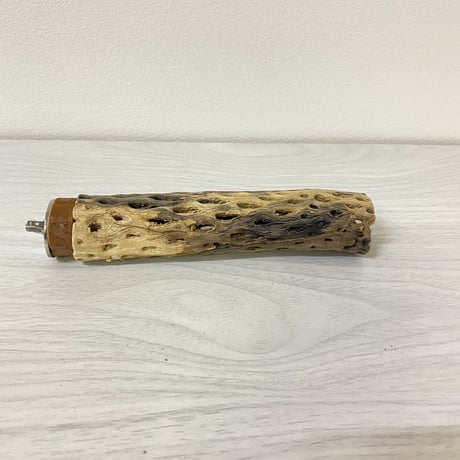 カクタスパーチ⑤ 極小サイズ 直径（約2-3cm）長さ/15cm