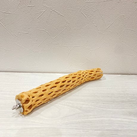 カクタスパーチ⑯ 小サイズ長さ25cm