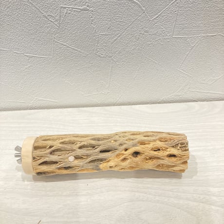 カクタスパーチ小⑮ 直径約3~4cm 長さ15cm