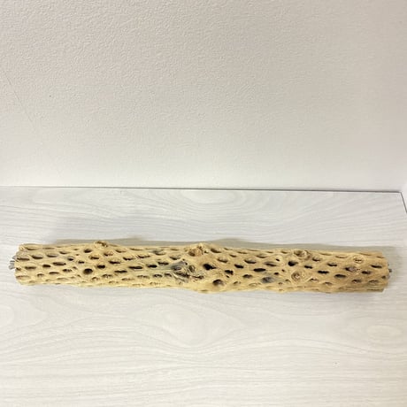 ケージサイズカクタスパーチ② 中サイズ直径約5.5cm HOEI465サイズ