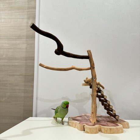 自然木（ツタ・貝塚伊吹）とハシゴのバードアスレチック【インコのおもちゃ・自然木のとまり木】