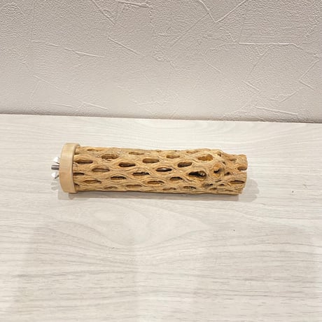 カクタスパーチ小直径3~4cm 長さ15cm ⑤
