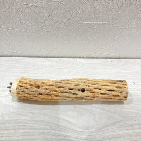 カクタスパーチ小① 直径約3~4cm 長さ20cm