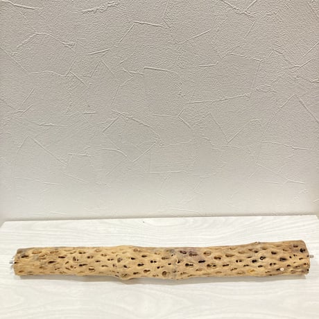 ケージサイズカクタスパーチ④  小サイズ直径3-4cm HOEI465サイズ