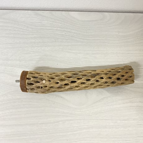 カクタスパーチ⑦ 小サイズ 直径（約3-4cm）長さ/20cm