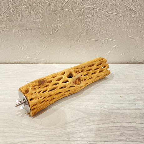 カクタスパーチ【G】直径4~5cm/長さ20cm