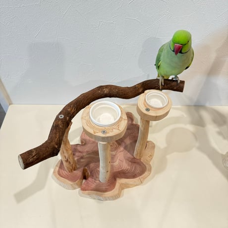 おやつ入れ付きツタのスタンドパーチ