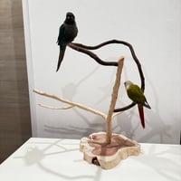 貝塚伊吹とツタのぐるりんアスレチック 【自然木 とまり木 】